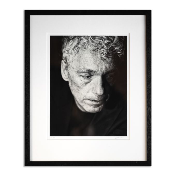 Spinvis