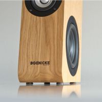 Boenicke Springfeet 8 stuks | HIFI WILBERT